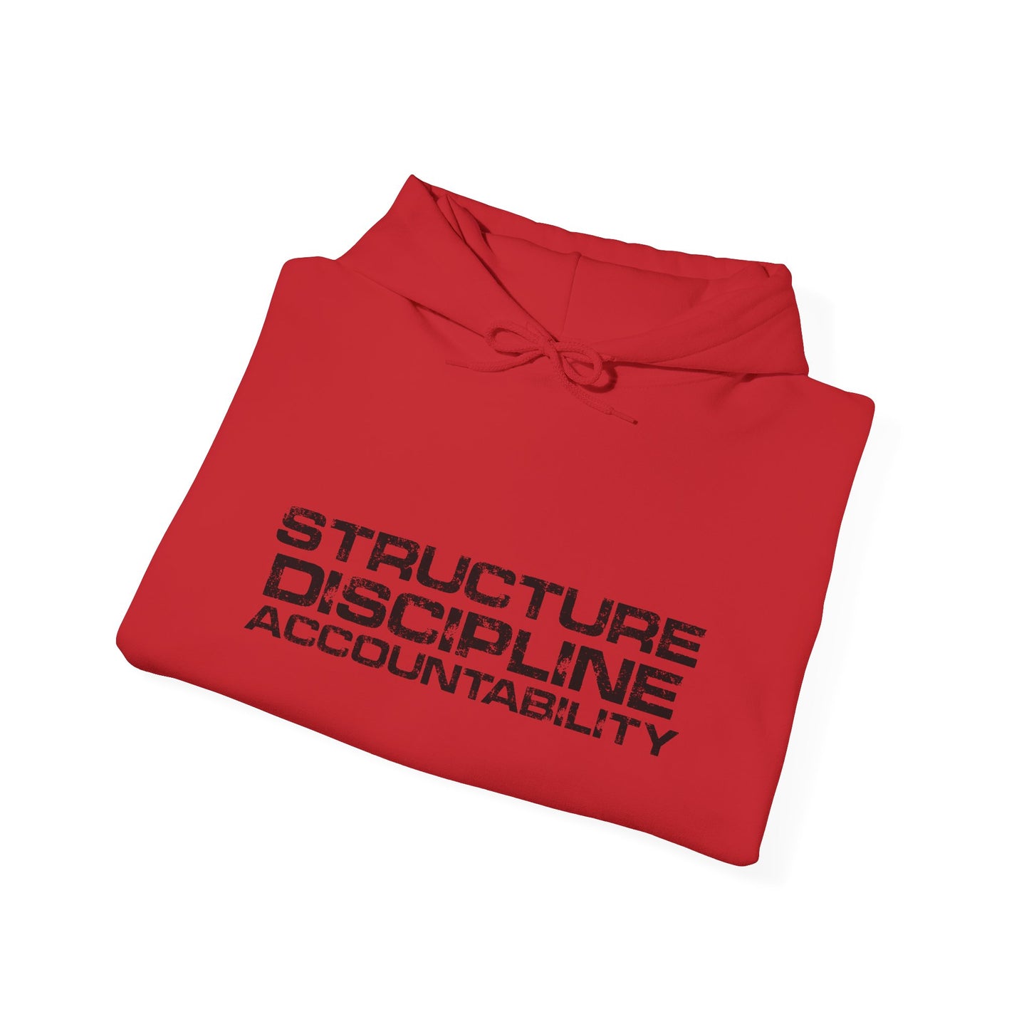 Structure Discipline Accountability (Hoodie)