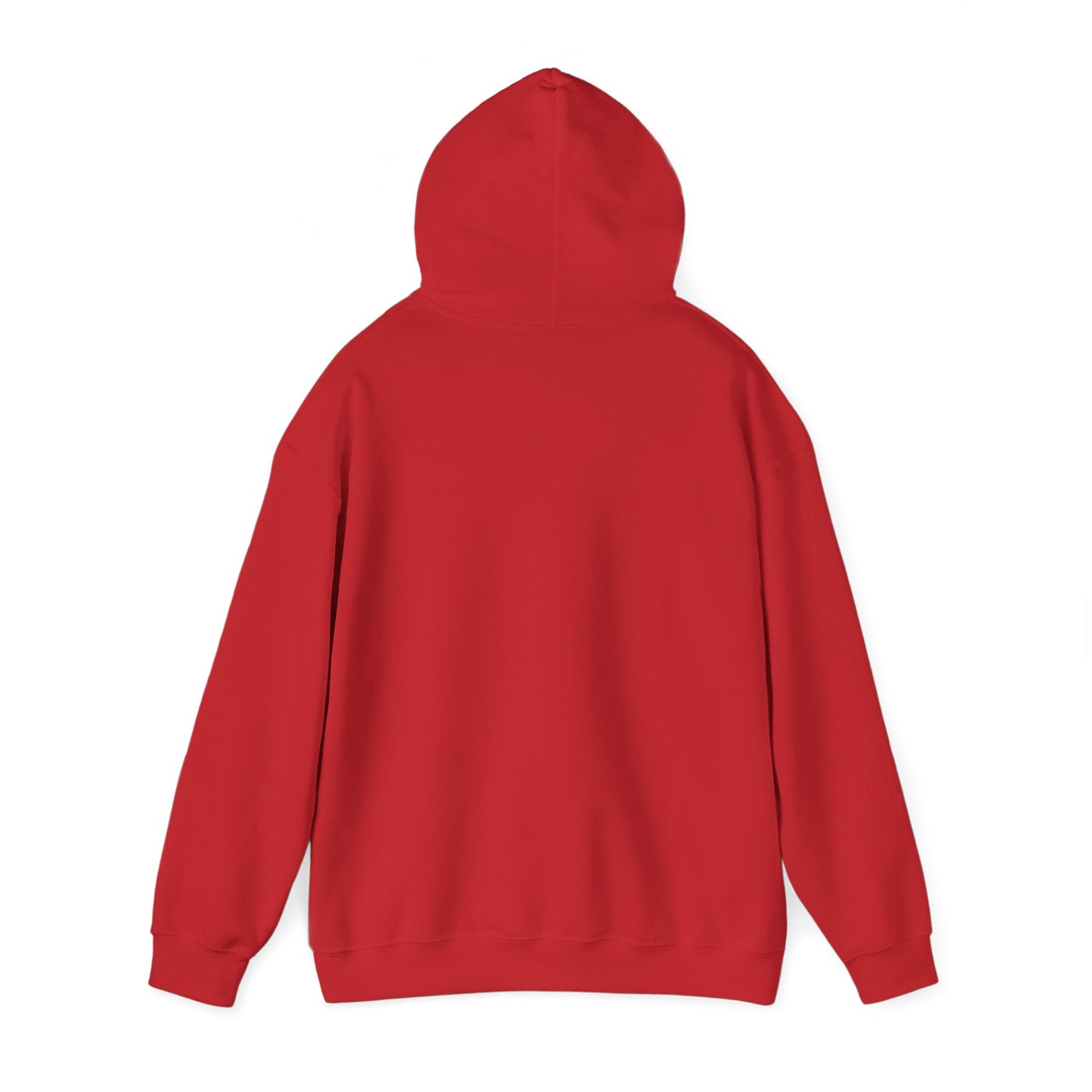 Structure Discipline Accountability (Hoodie)