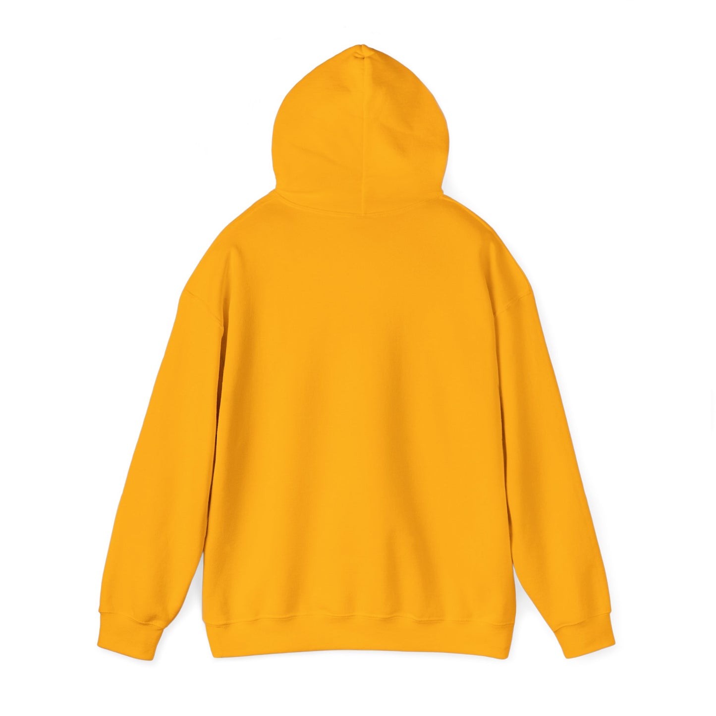 Structure Discipline Accountability (Hoodie)