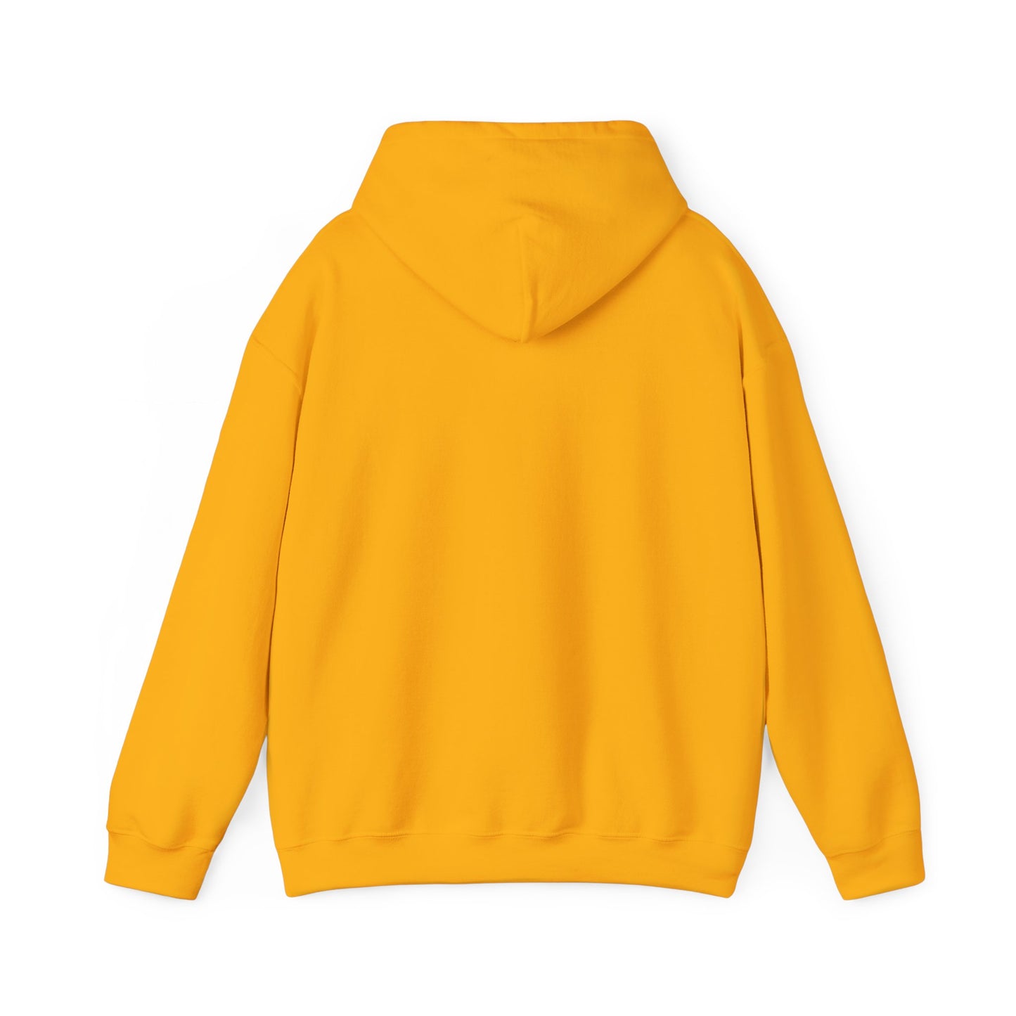 Structure Discipline Accountability (Hoodie)