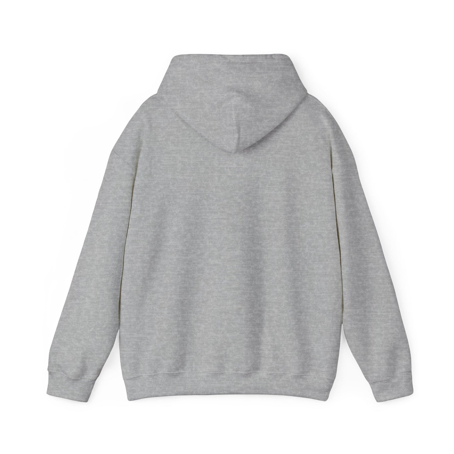 Structure Discipline Accountability (Hoodie)