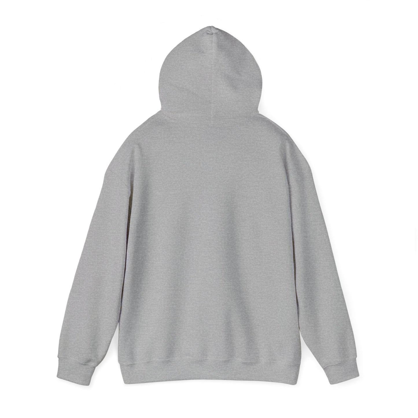 Structure Discipline Accountability (Hoodie)