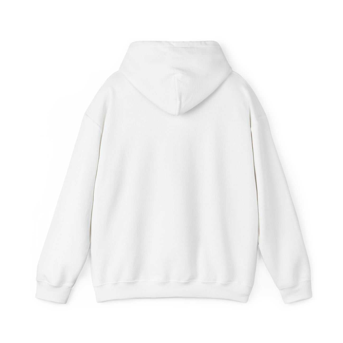 Structure Discipline Accountability (Hoodie)
