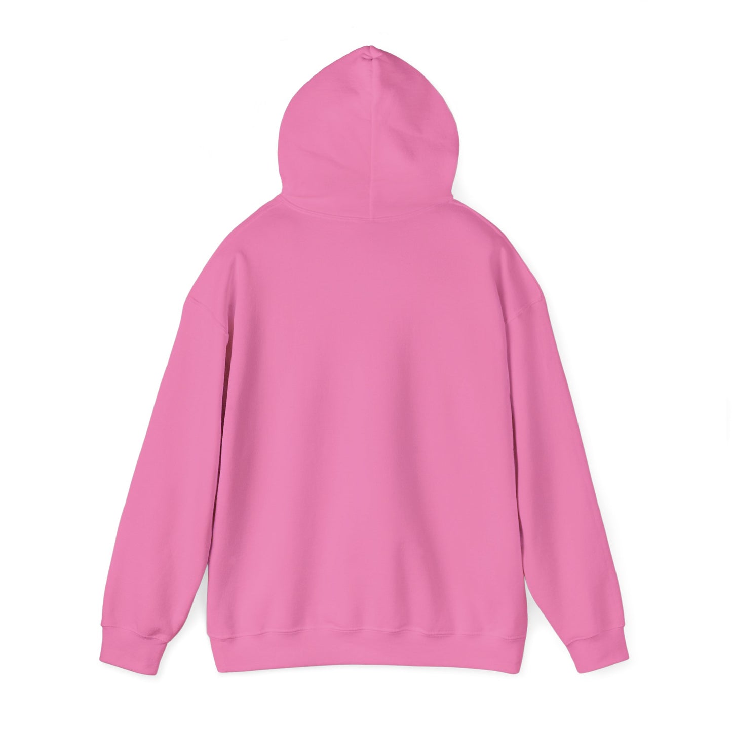 Structure Discipline Accountability (Hoodie)