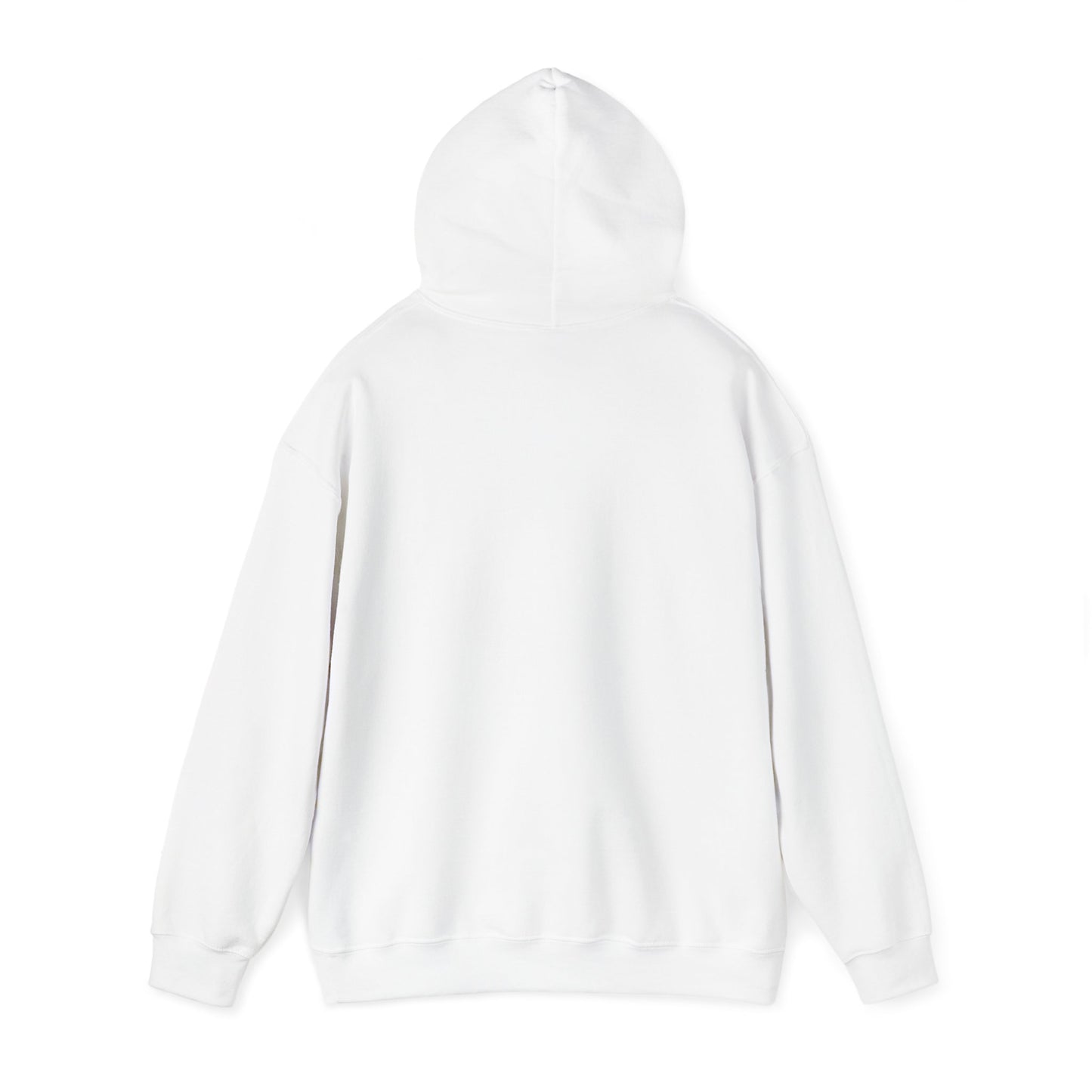 Structure Discipline Accountability (Hoodie)