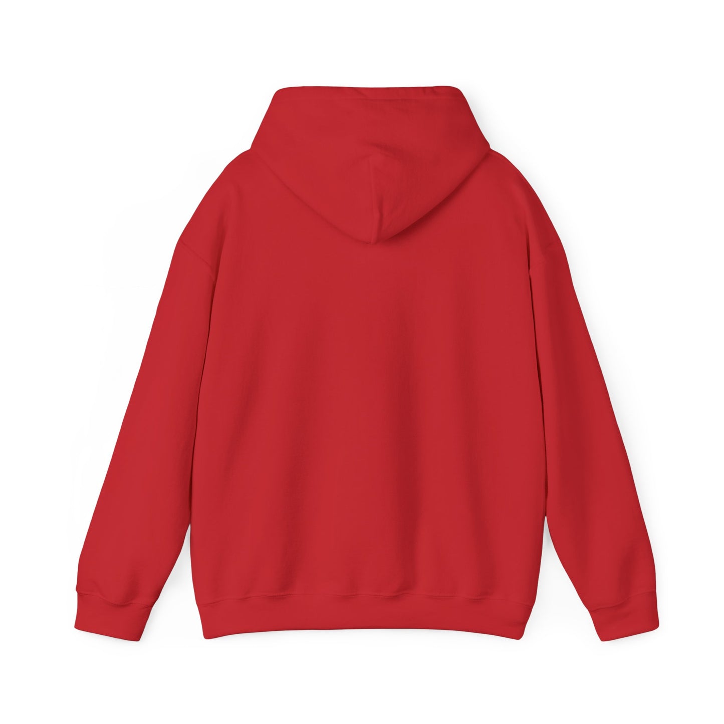 Structure Discipline Accountability (Hoodie)