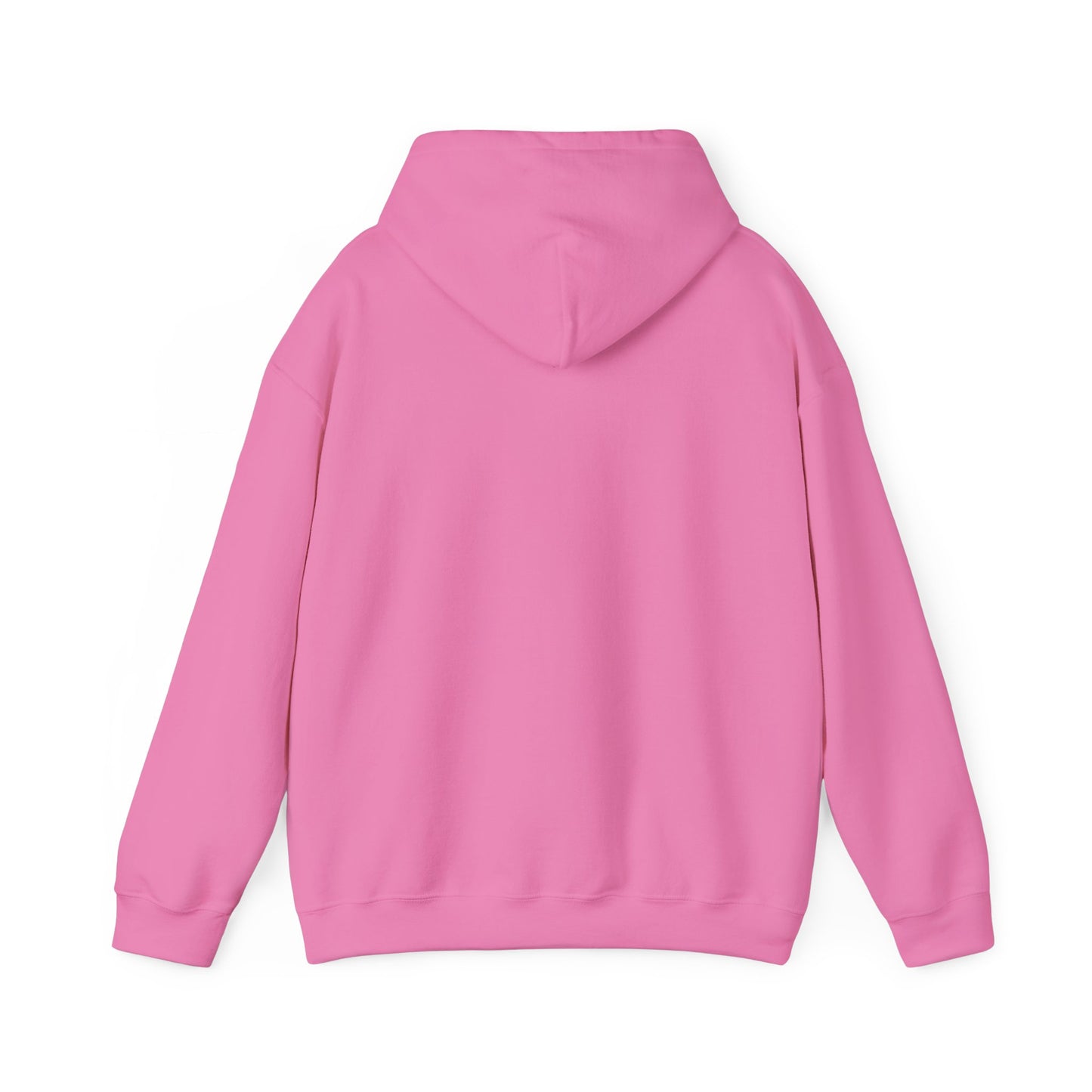 Structure Discipline Accountability (Hoodie)