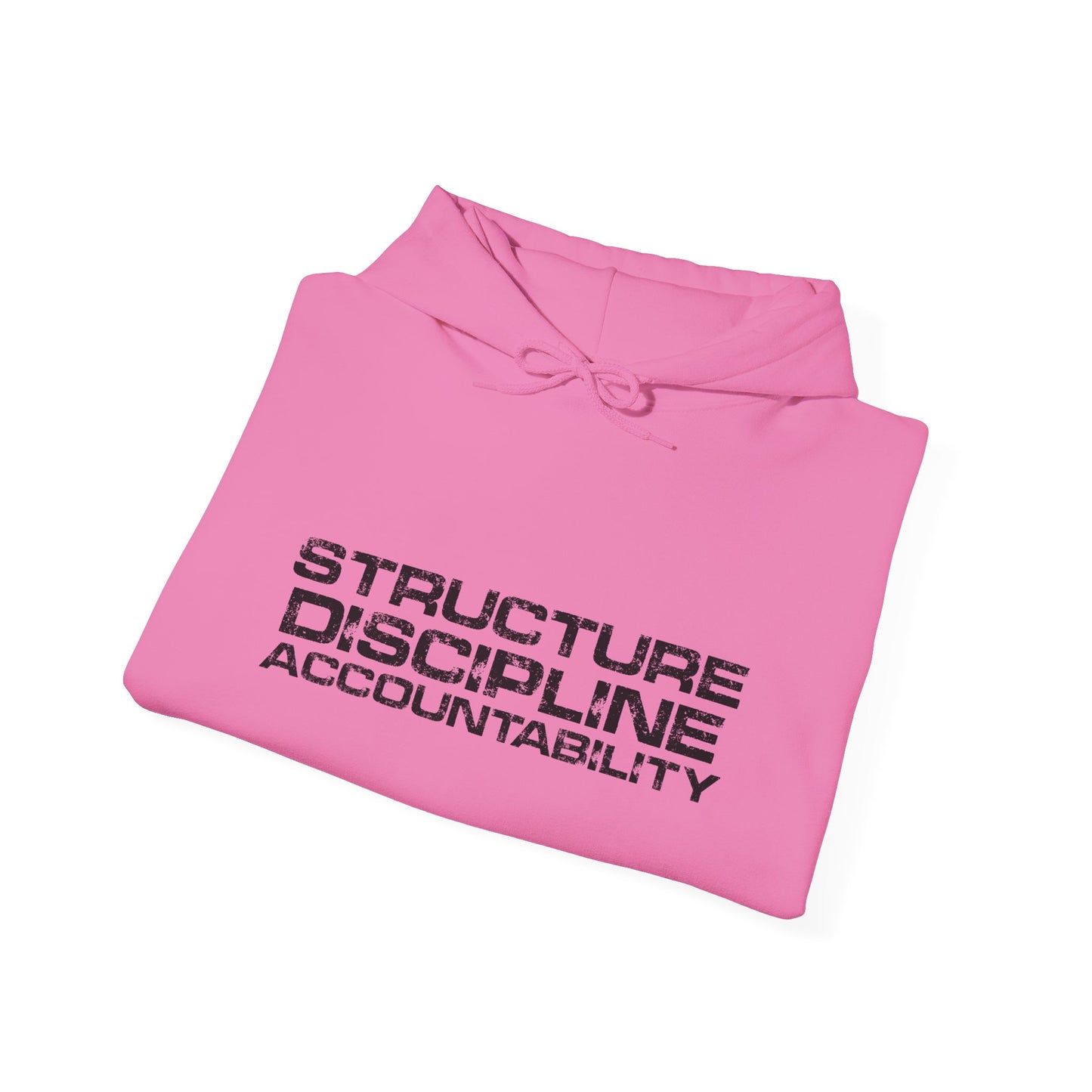 Structure  Discipline Accountability  (Hoodie)