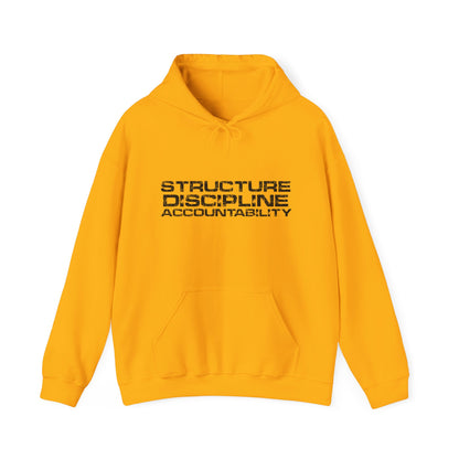 Structure  Discipline Accountability  (Hoodie)