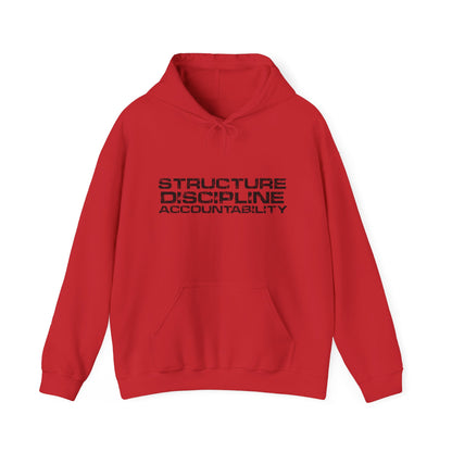 Structure  Discipline Accountability  (Hoodie)